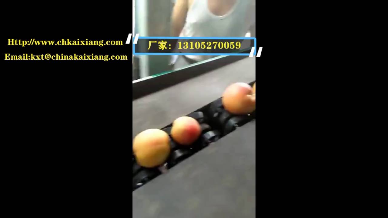 peach washing and grading machine