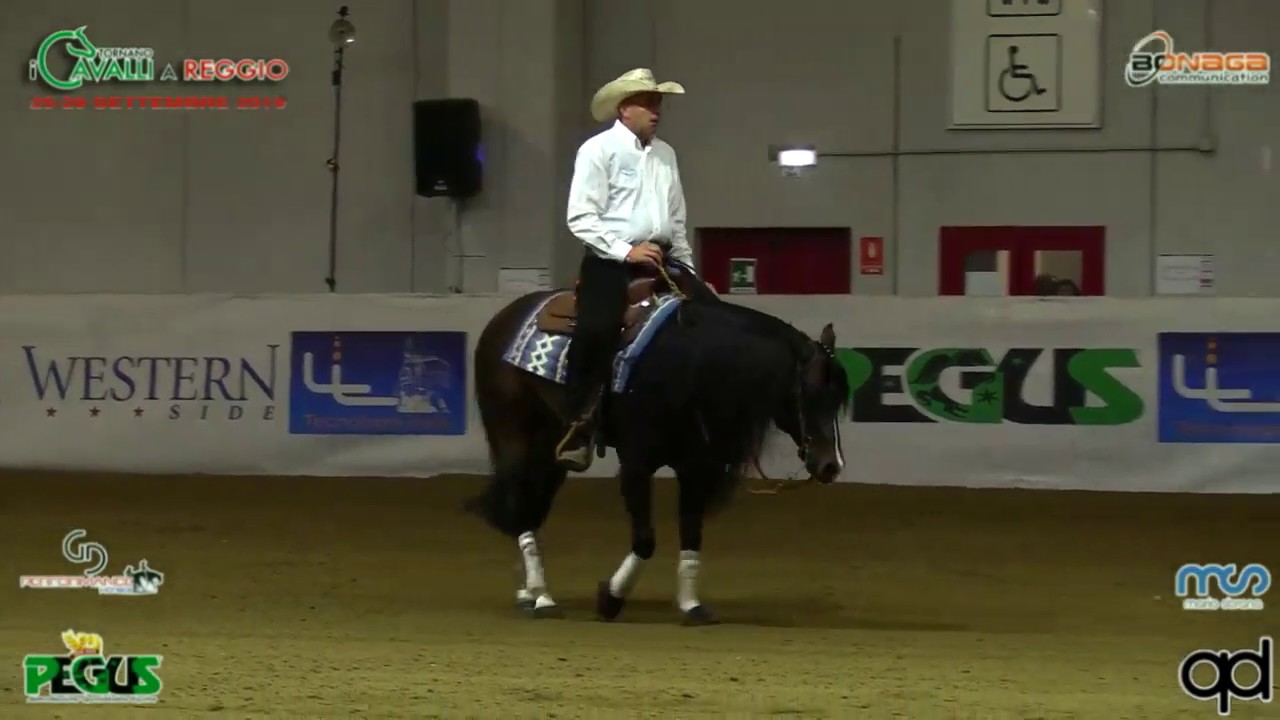 Pre Futurity 2019 - RUDI KRONSTEINER & AB PEPPY DIAMOND score 150