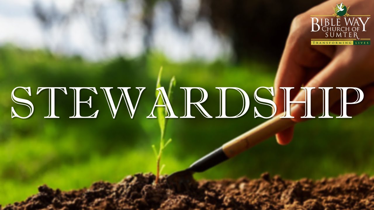 Bible Study Series | Stewardship | Principles of Stewardship