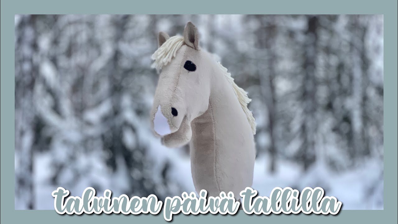 Kavallettitreeniä Ja Talvisia Tallihommia 🐴🌨️  | TalliVlogi