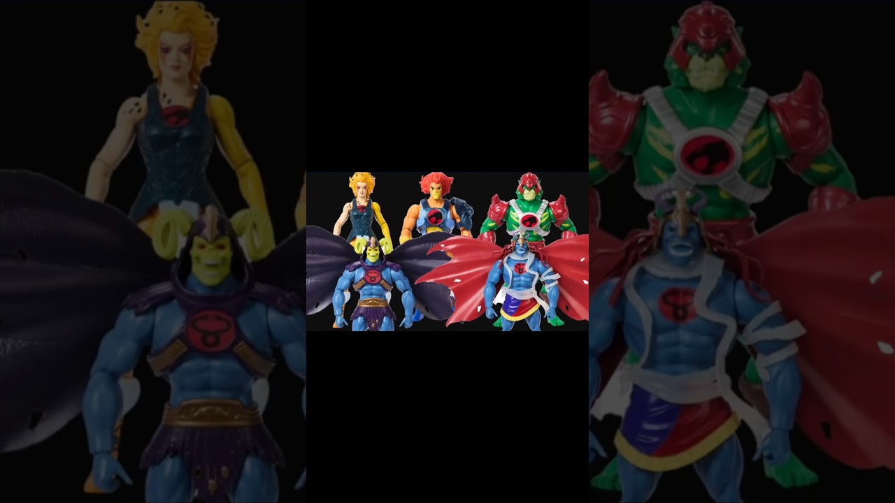 New Thundercats x Masters of the Universe Crossover #motu #mastersoftheuniverse #thundercats #toys