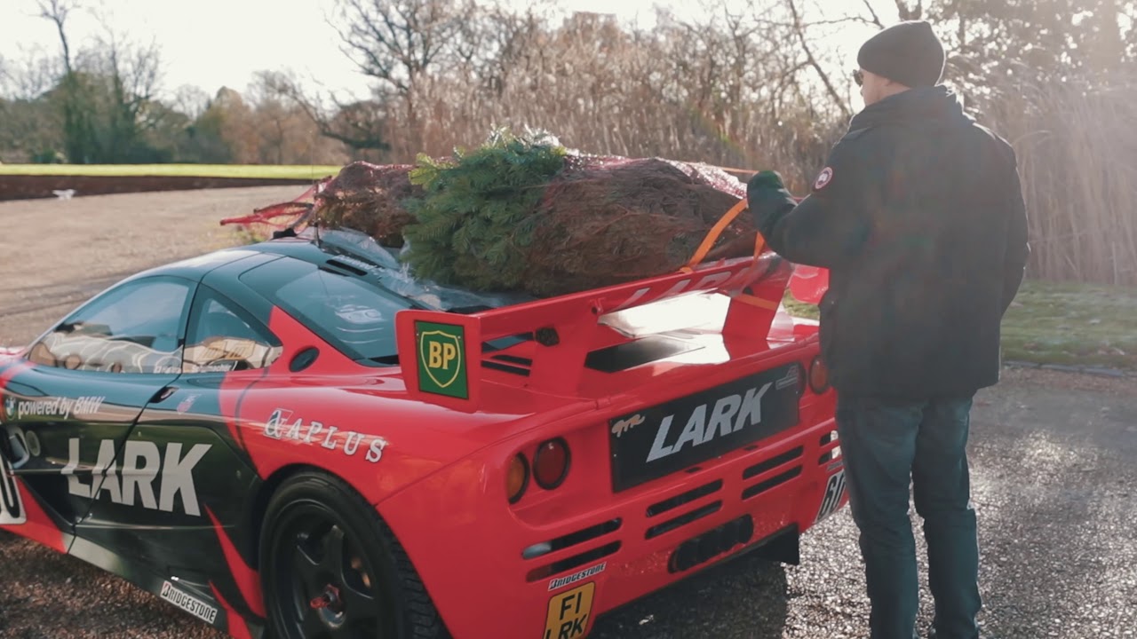 f1 tree collection
