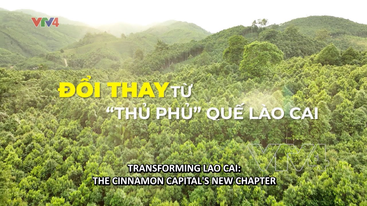 Đổi thay từ 
