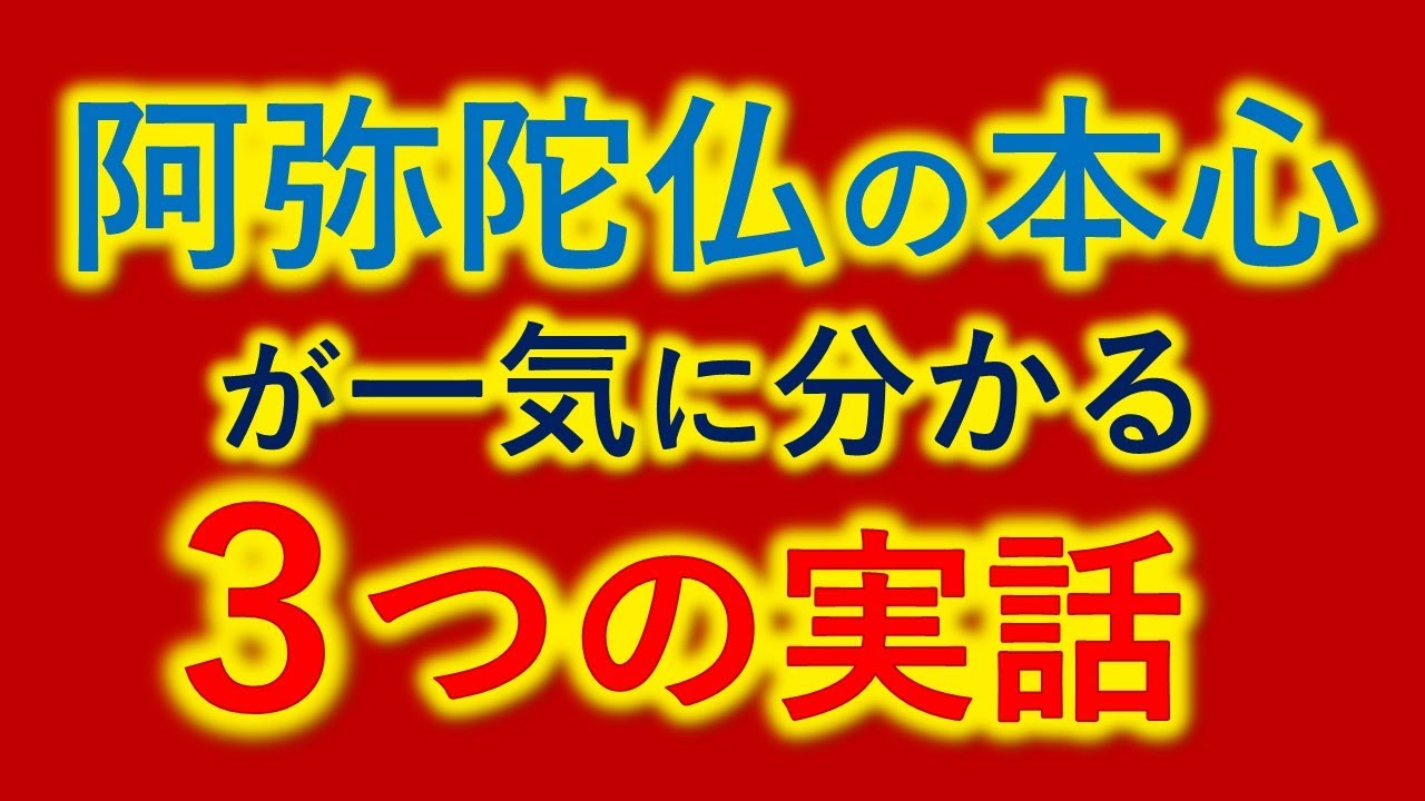 親鸞聖人が阿弥陀仏の真意を明らかにした３回の大議論が【０から一気に分かる動画】三大諍論（さんだいじょうろん）