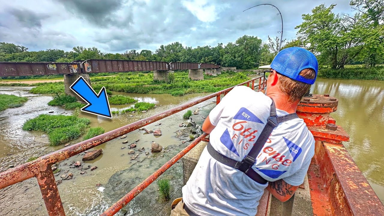 Моя любимая рыбка НАКОНЕЦ-ТО ПРОСНУЛАСЬ!!! (Первое в этом году)