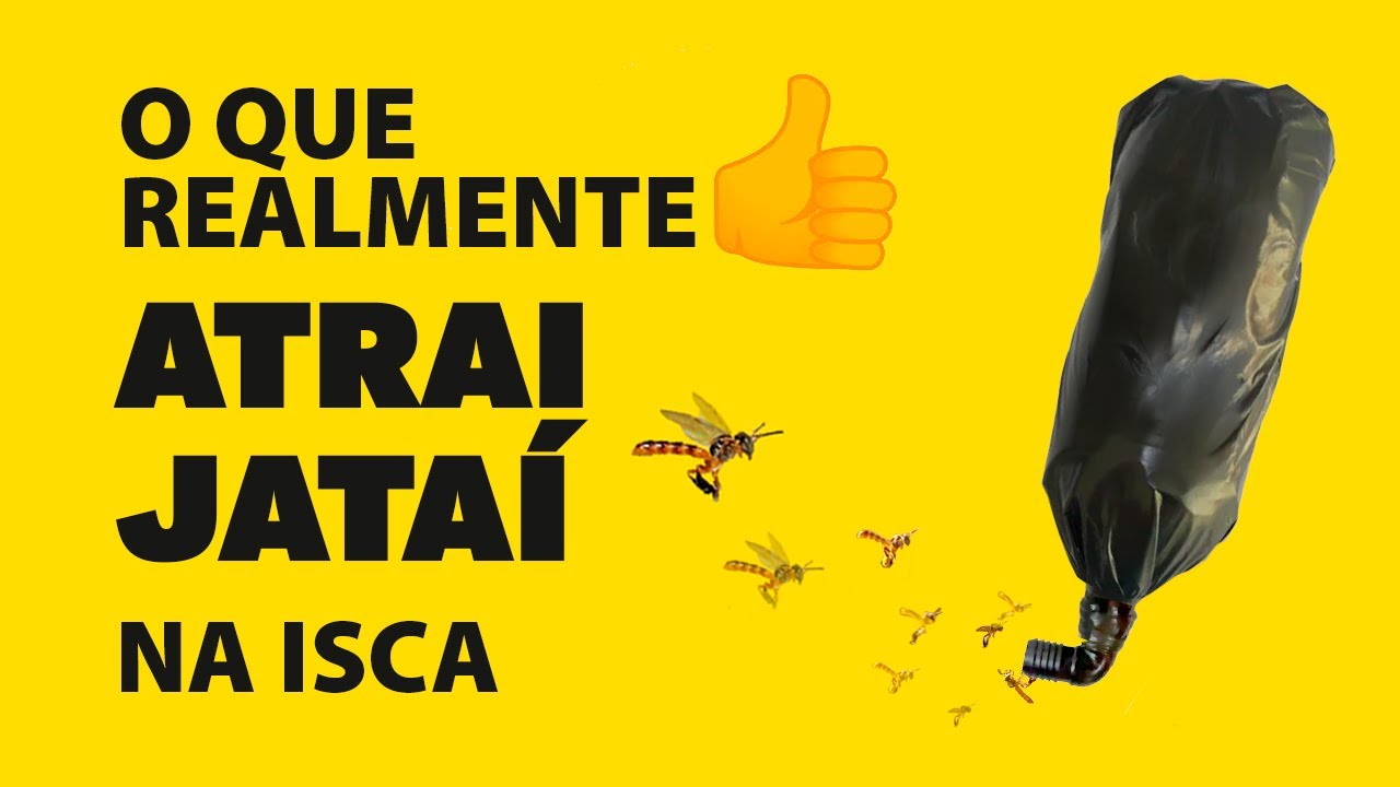 Por que algumas iscas atraem abelhas Jata&iacute; e outras ficam vazias?