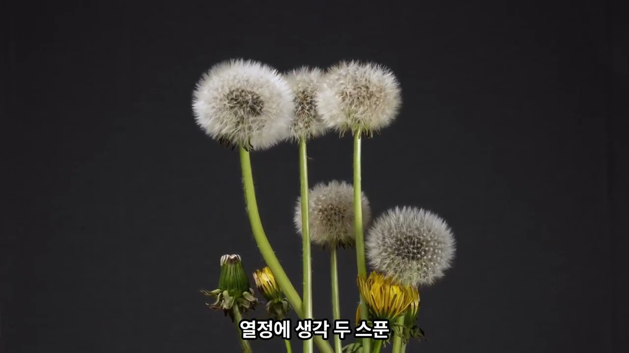 착한 마음 하나 들고