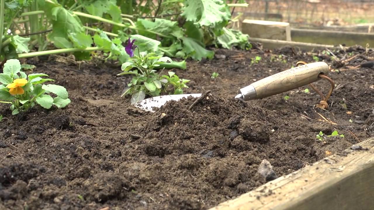 Classic Wood-Handled Garden Tools - Trowel, Transplanter, Cultivator & Weeder-Plow & Hearth