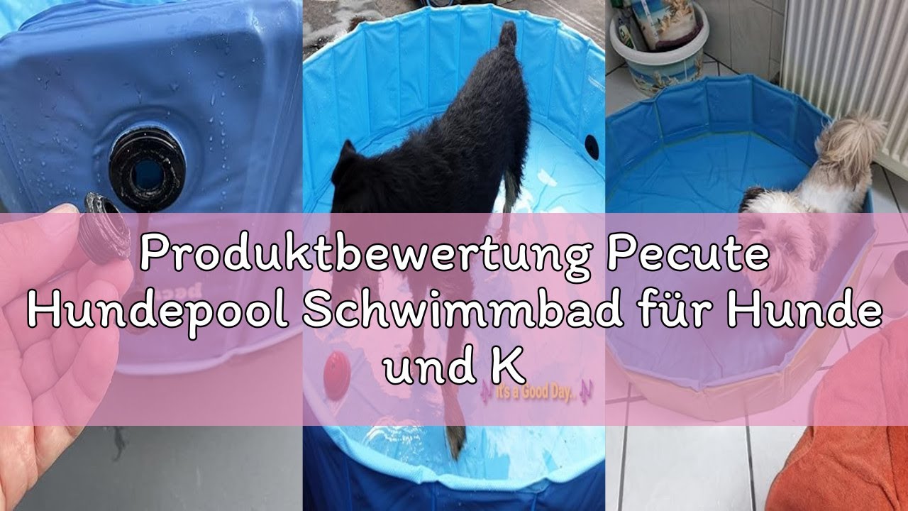 Produktbewertung Pecute Hundepool Schwimmbad für Hunde und Katzen, Swimmingpool Hund Planschbecken H