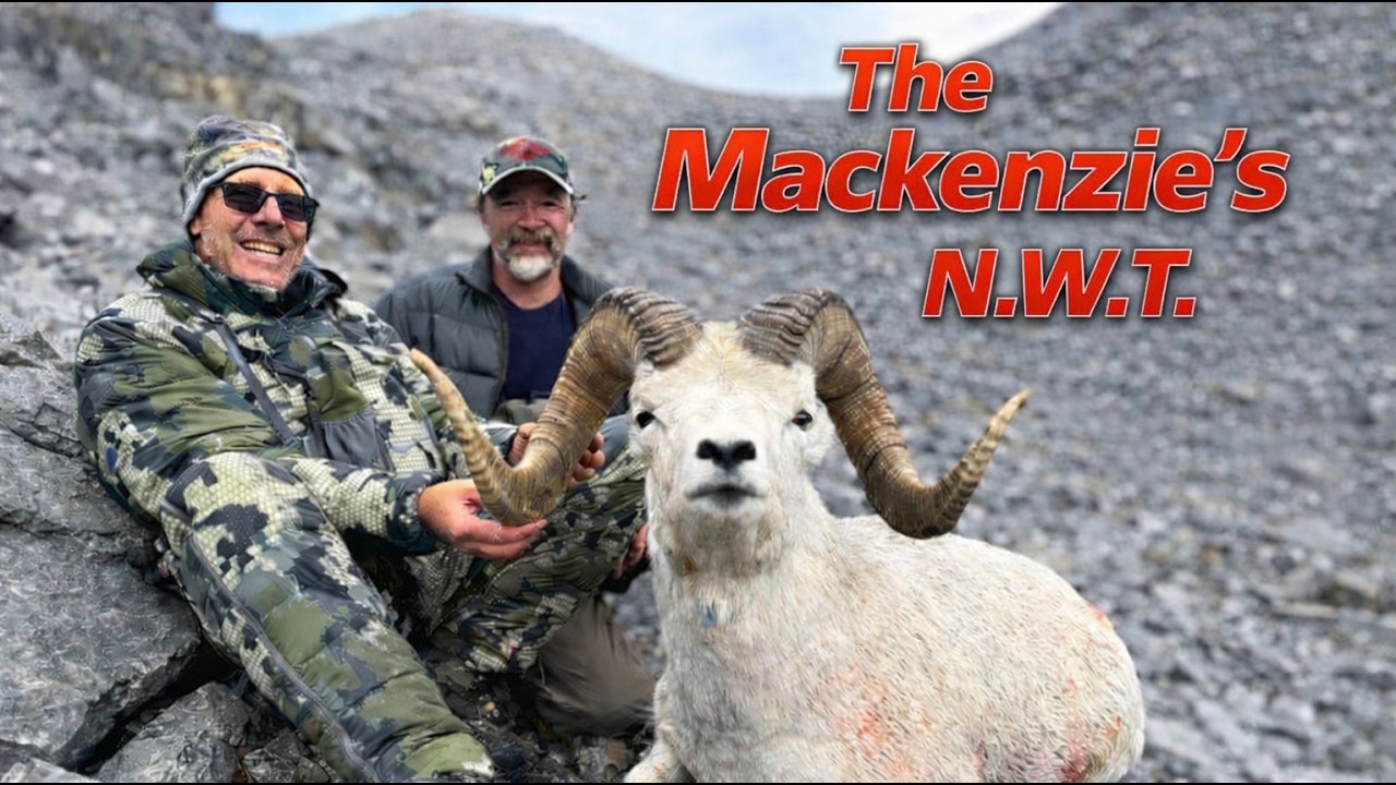 The Mackenzies - 2024 Dall Sheep Hunting - N.W.T.