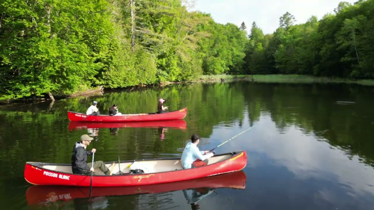 Lac Du Poisson Blanc Canoe Camping