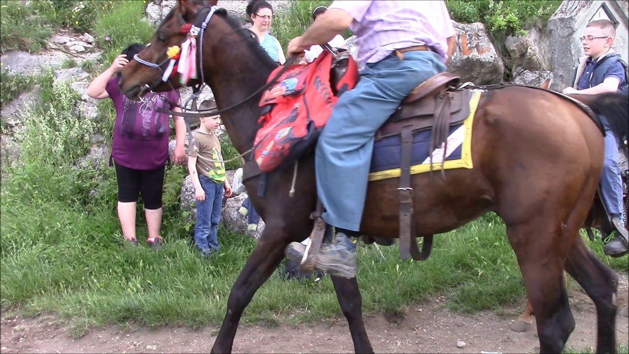 Festa alla Madonna dell'Avvocata - video 1
