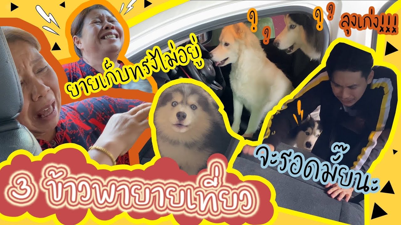 วุ่นวายจนรถส่าย! พาสามข้าวไปขับรถเล่น สงสารยายมาก 5555