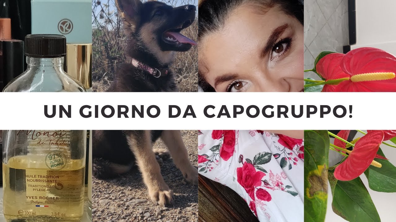 ✨TOUR DEL MIO UFFICIO & POSTI SPECIALI | vlog ✨