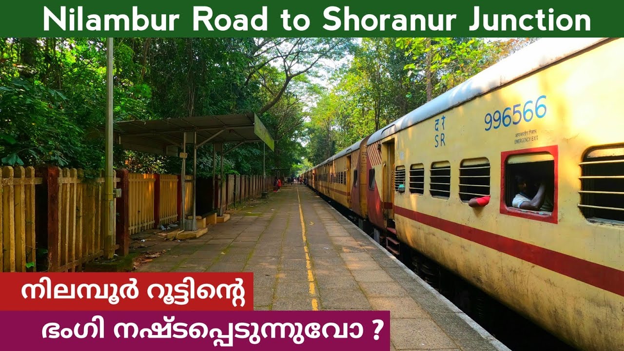 Kerala's Scenic Train Journey 🚂 | Nilambur Road to Shoranur Junction | Malayali Travellers