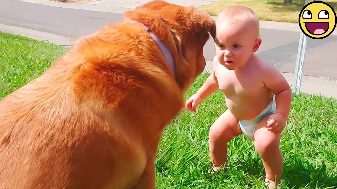 29 minut, w kt&oacute;rych dzieci i psy bawią się razem w uroczy i zabawny spos&oacute;b 🐶👶😂