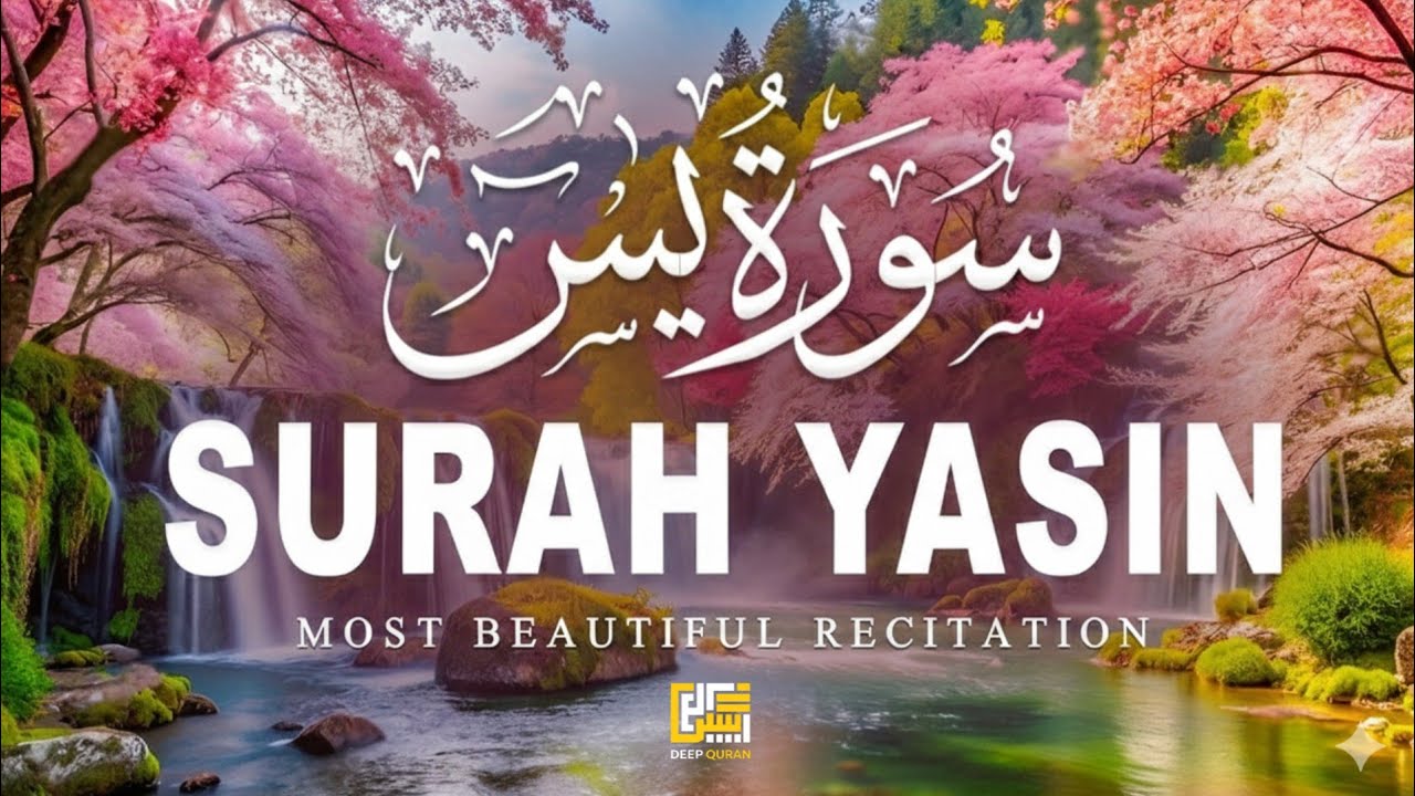 Surah Yasin (سورة يس) | Night Recitation for Stress Relief, Peace & Spiritual Comfort | #lofiquran 