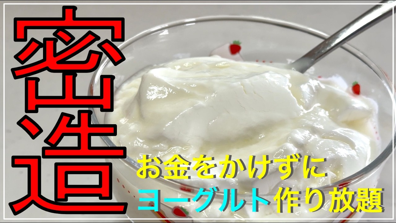 【腸内改善】家庭用ヨーグルトメーカーでガゼリ菌SP株を増やして毎日食べたら健康体になりました。【最強アイテム】