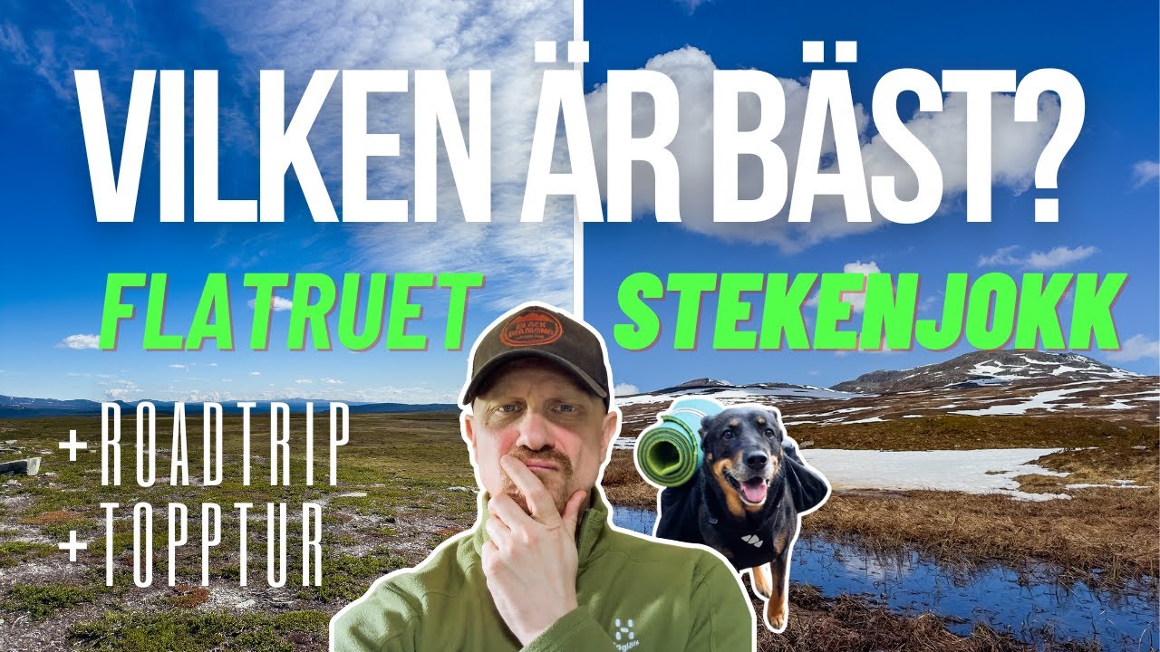 Flatruet, Stekenjokk och topptur på Satsfjället med hund. Heltidsboende i husbil.