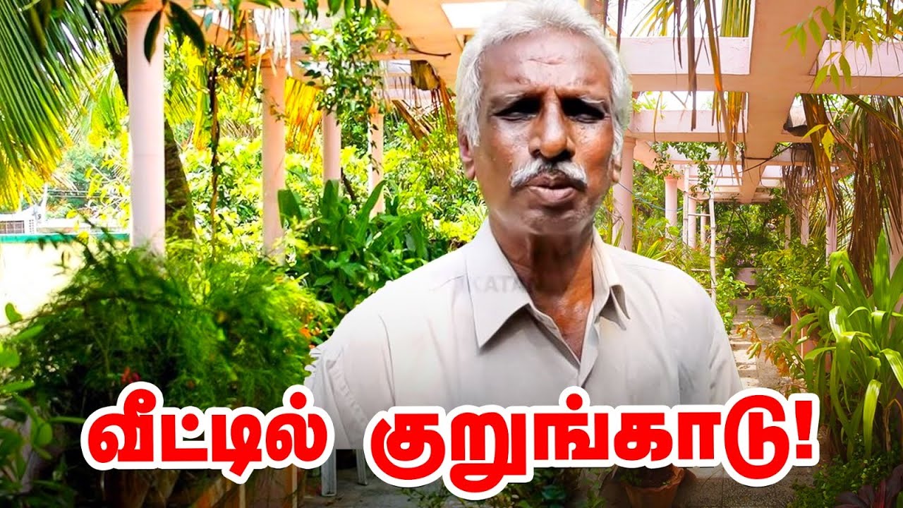 குறுங்காடாக மாறிய வீடு |  சென்னையில் இப்படி ஒரு இடமா? | Home Garden