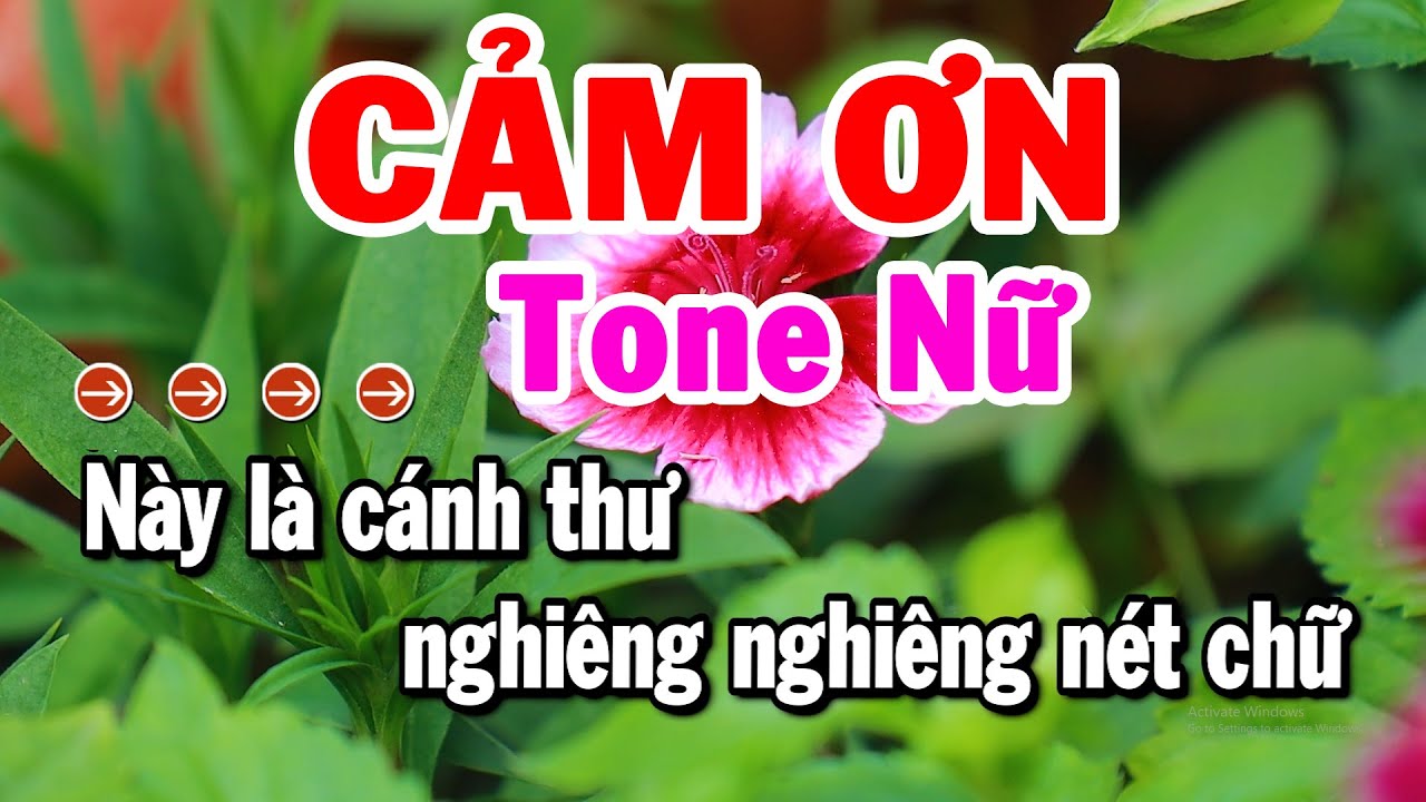 Karaoke Cảm Ơn Tone Nữ Nhạc Sống Rumba Beat 2026 | Karaoke Tuyển Chọn