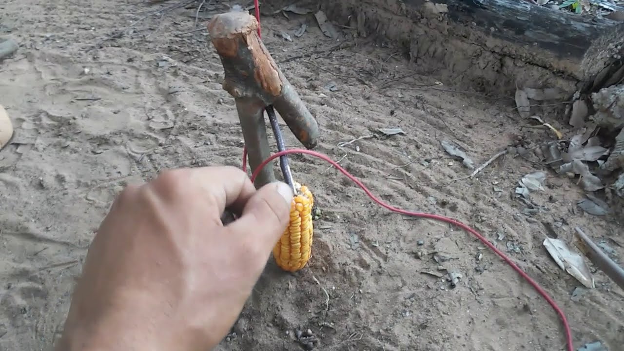 A Armadilha mais Eficaz