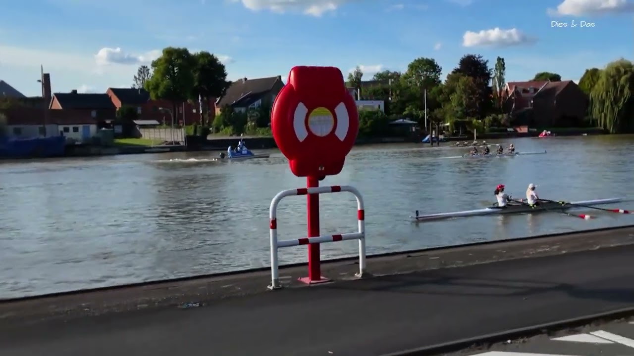 Ruderregatta 2025 in Leer