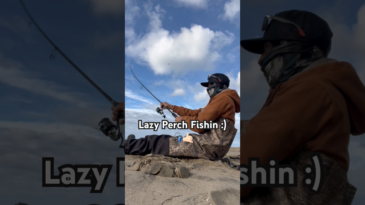 Sittin back catchin Perch! #surfperch #fish #fishing #outdoors #ocean #surffishing #carolinarig