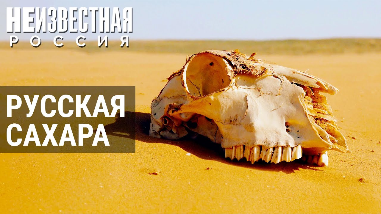 Русская Сахара | НЕИЗВЕСТНАЯ РОССИЯ