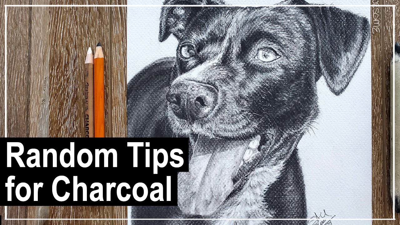 Drawing a Pupper in Charcoal (Tips and Rambles)