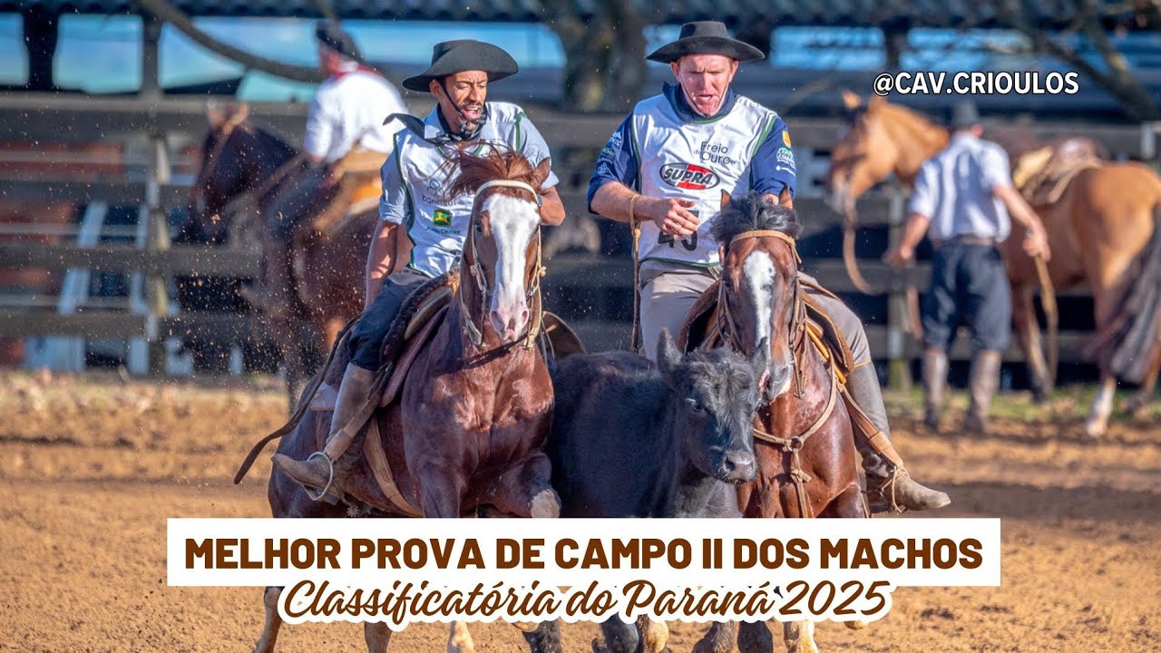 Fanfarrão do Infinito - TE • Melhor Prova de Campo II dos Machos na Classificatória do Paraná 2025 
