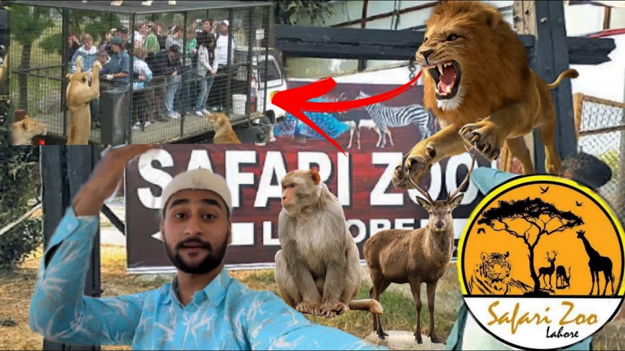 Visit Lahore safari park | Lion 🦁 ne attack kr diya car py 😨| how to experience?after update safari