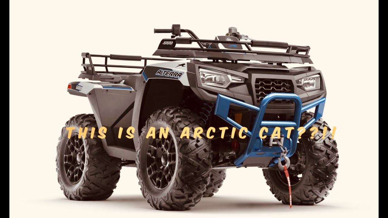 Это арктический кот??!! ЧТО??!!