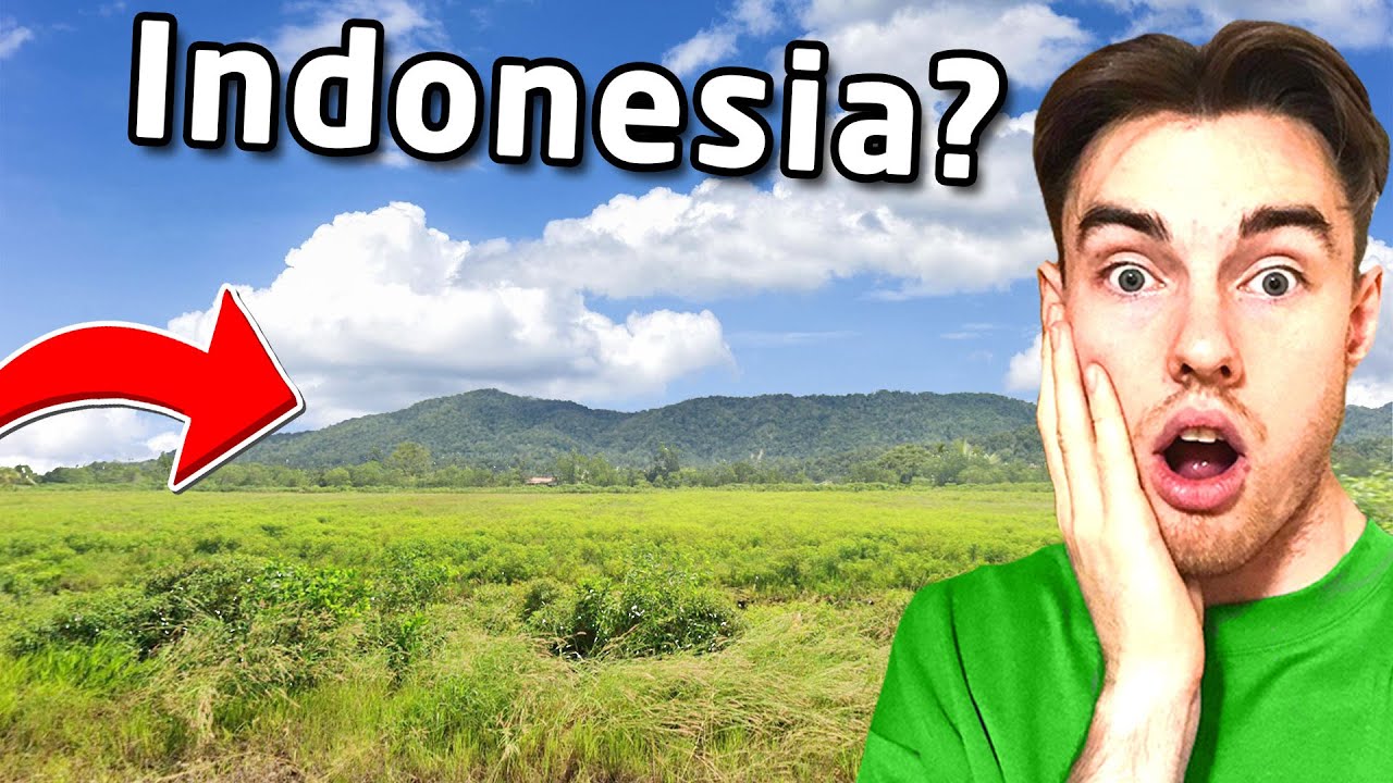 I Learned Indonesia For an Hour on Geoguessr