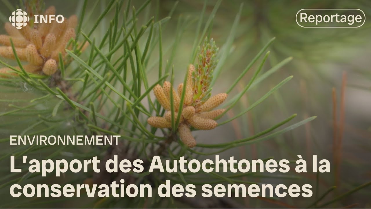 L’apport des Autochtones à la conservation des semences | La semaine verte