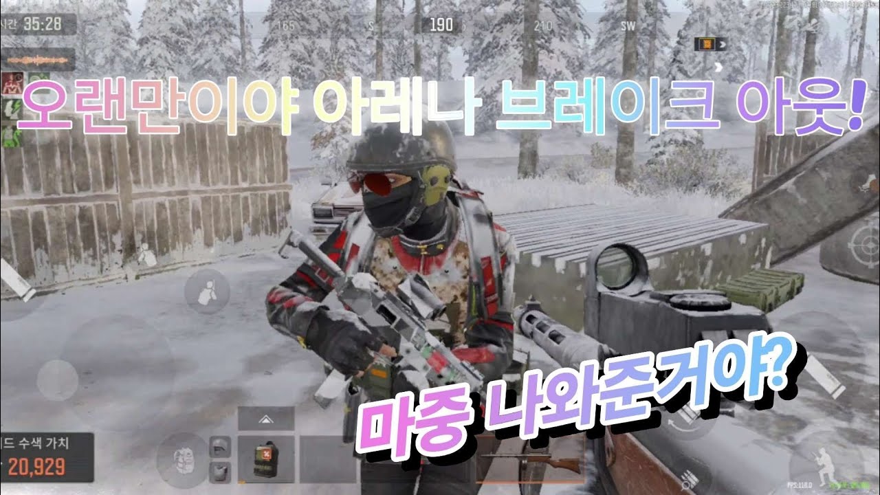 생존 신고