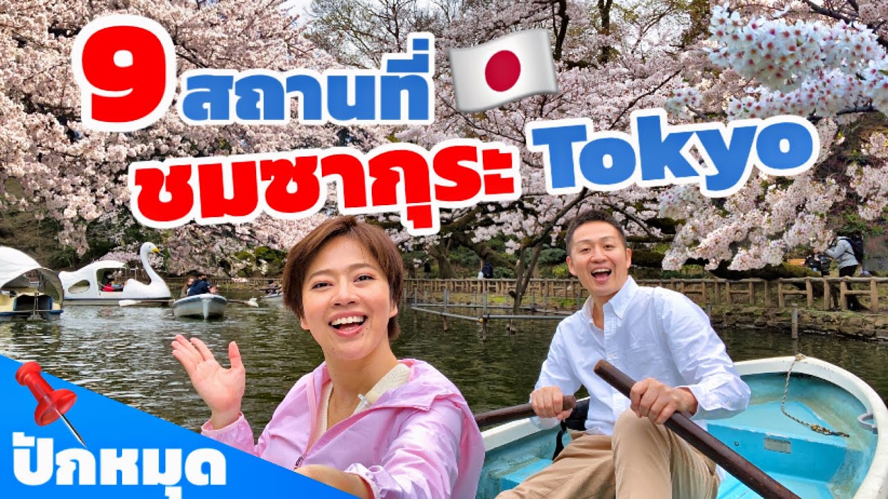 9 จุดชมซากุระ ในโตเกียว เที่ยวญี่ปุ่น ห้ามพลาด | kinyuud