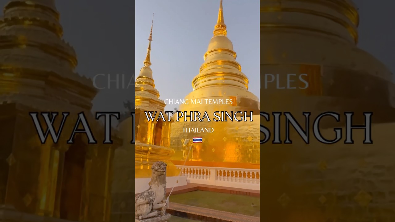 Exploring the majestic Wat Phra Singh in the heart of Chiang Mai's Old Town ✨#chiangmai #shorts
