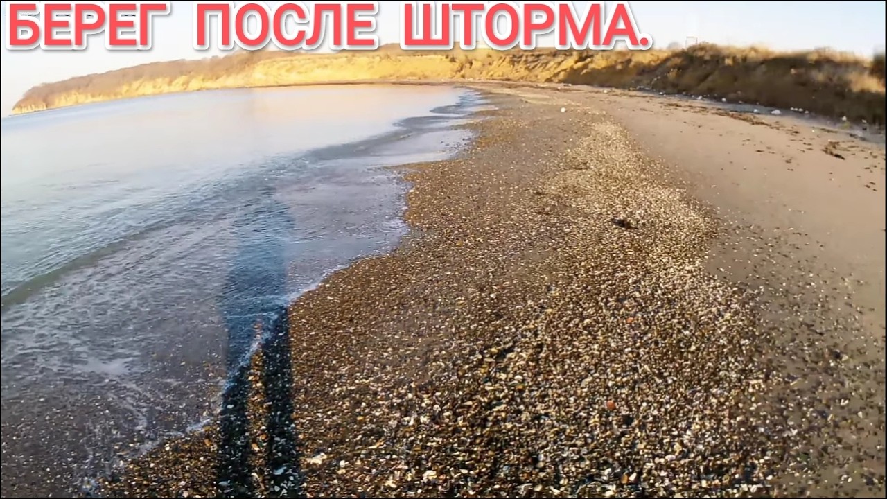 Находки после шторма. Поиск морепродуктов.