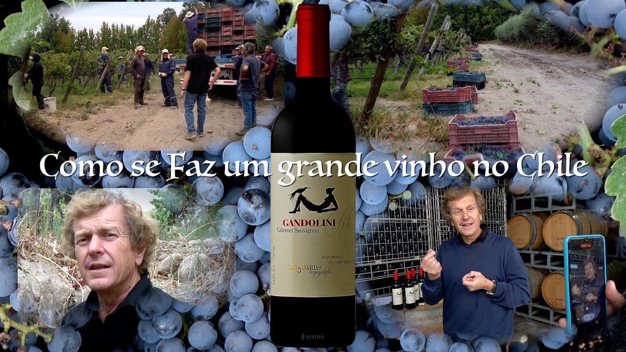 Como se Faz um Grande Vinho no Chile - Gandolini Las 3 Marias