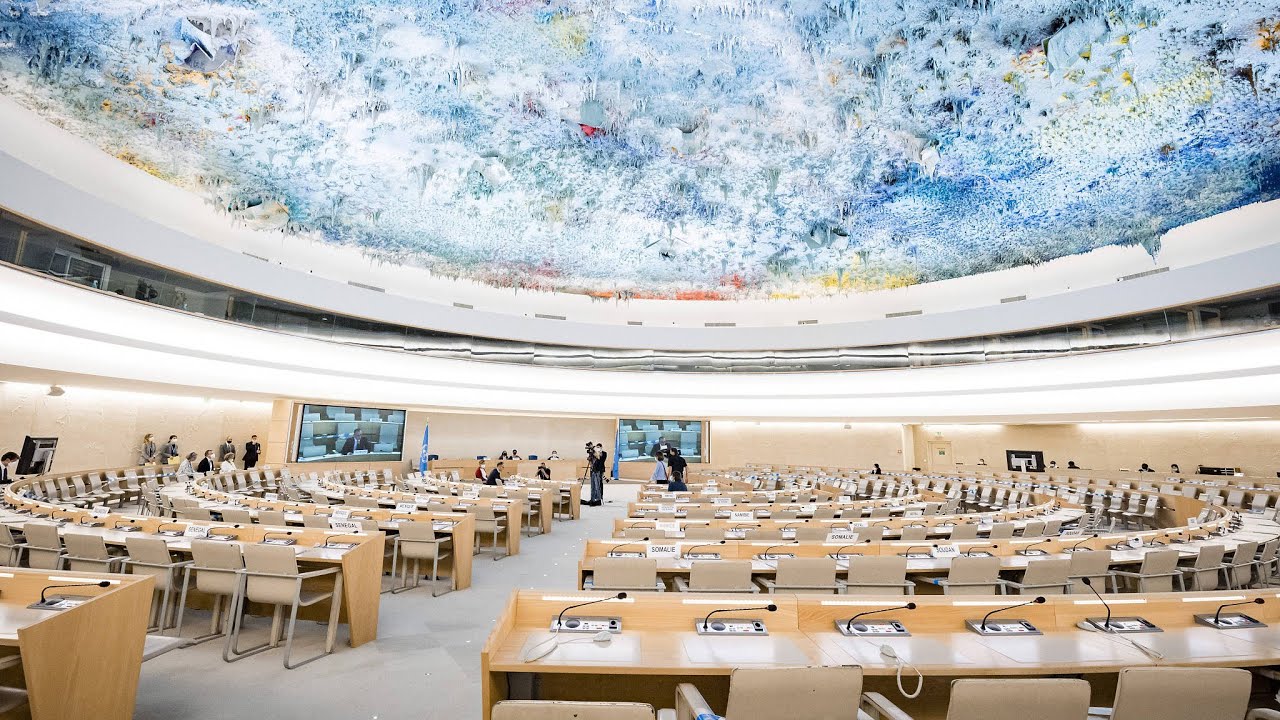 The Point: Human rights for all