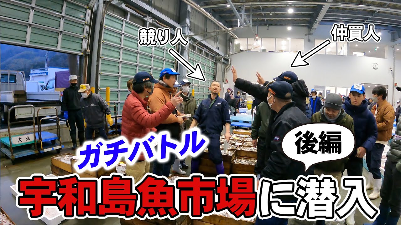 【後編】宇和島魚市場で火花散る！競り人と仲買人の真剣勝負を目撃しました！