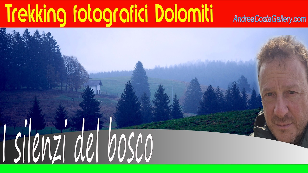 Escursione fotografica nei boschi del Comelico