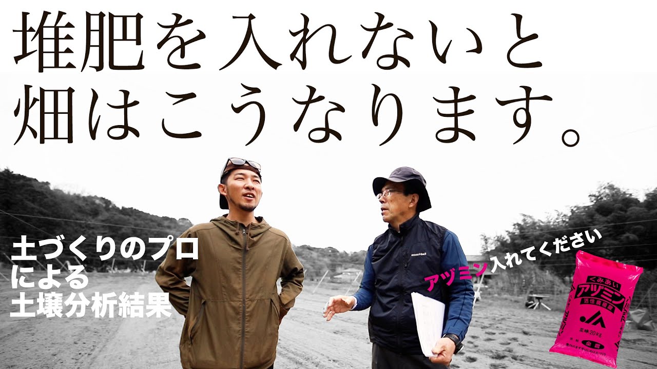 堆肥がないなら腐植酸を入れればいいじゃない【アヅミン】土づくり土壌分析結果