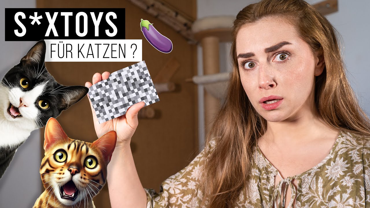 10 Spielsachen die JEDE Katze lieben wird 🐈🍆 (Ps. es wird spicy) / Amely Rose