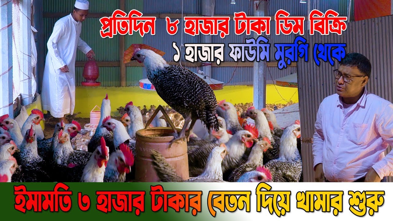 ইমামতির  ৩ হা*জার বেতন দিয়ে ফাউমি মুগীর খামার। ১ হাজার মুরগি থেকে  ডিম