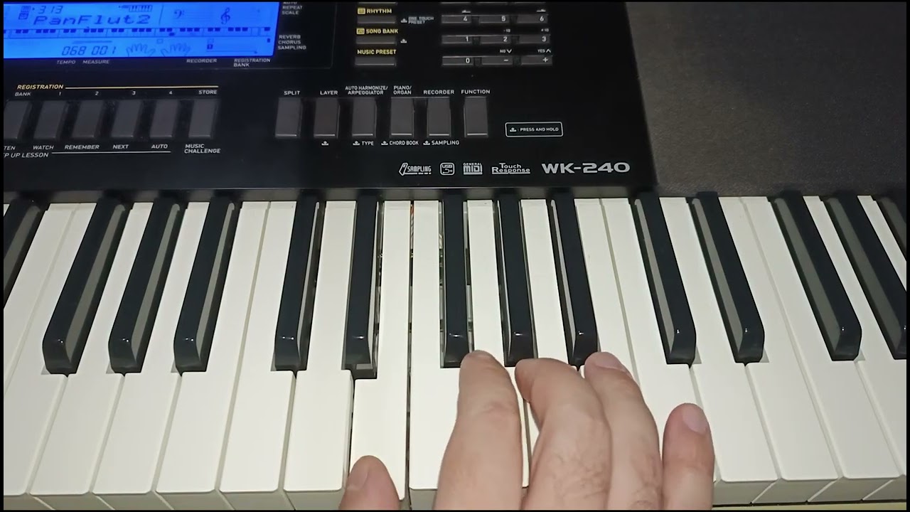 Casio WK 240  #argentina #musica #casa #mdq