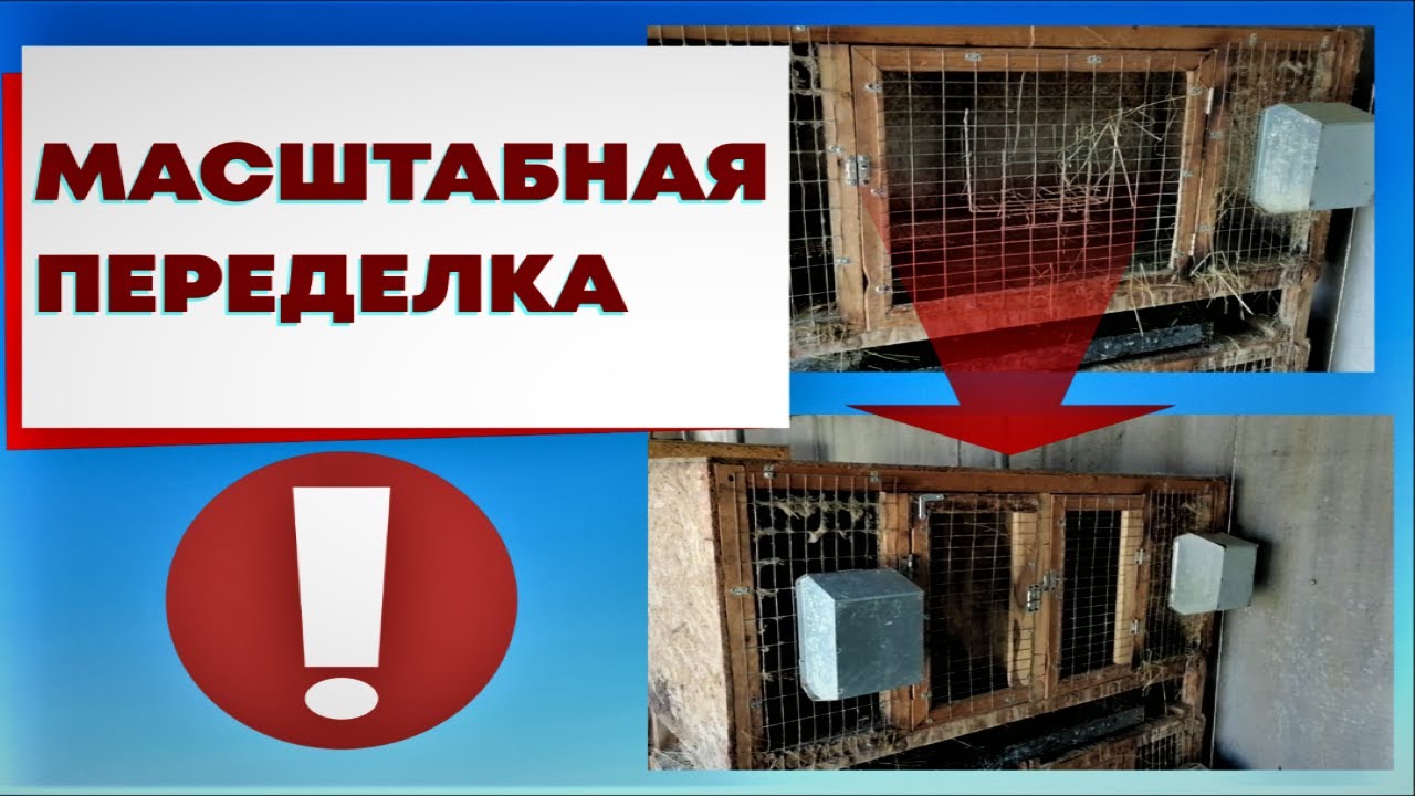 Почему я решил переделать свои клетки?