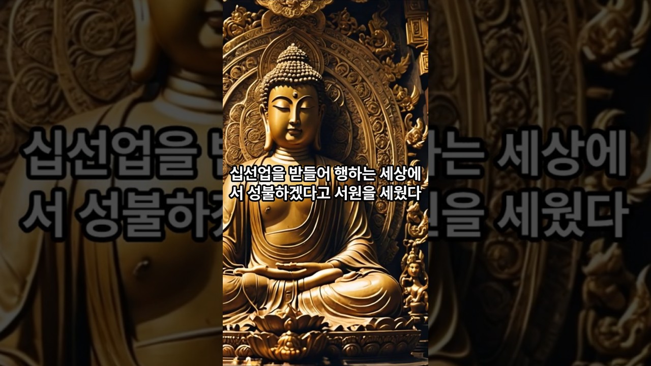 석가모니불과 미륵불의 관계