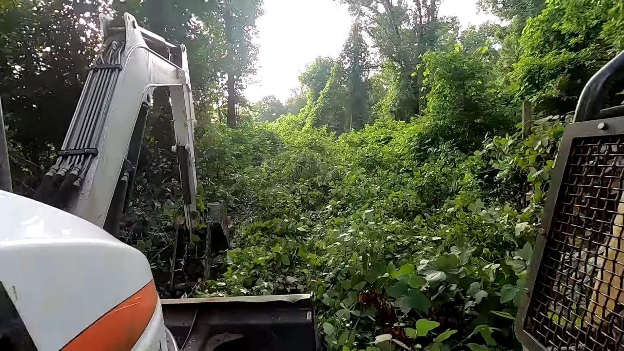 Cleaning up Kudzu